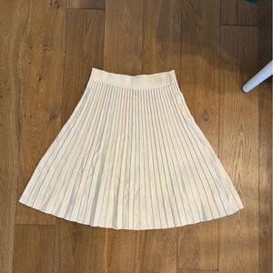 Ann Taylor Skirt